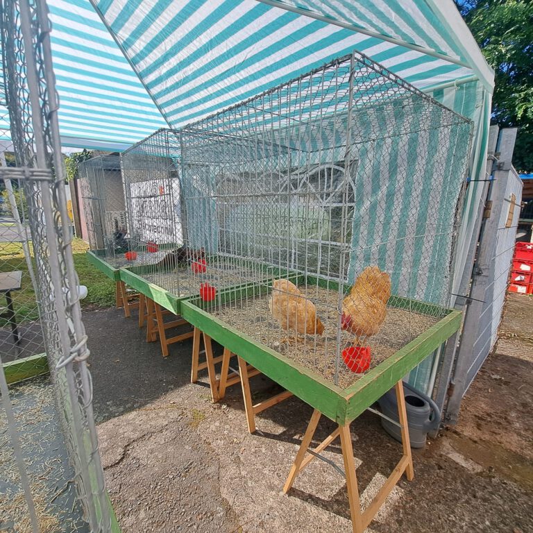 RGZV-Dudweiler präsentiert sich beim Keltertest des OGV Quierschied