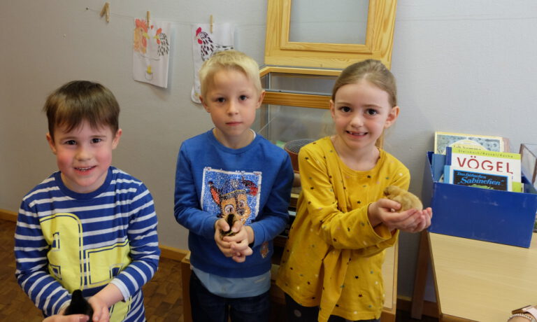 Kückenschlupf im Kindergarten des Dietrich-Bonhoeffer-Haus in Dudweiler